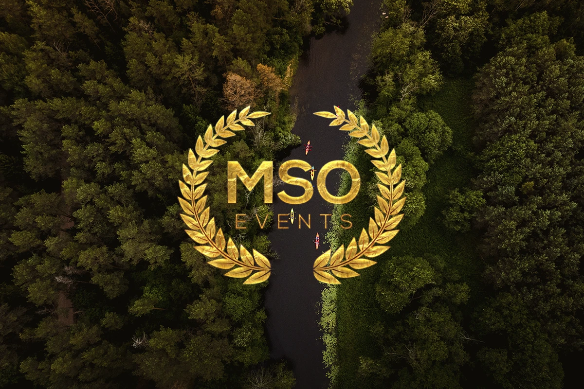 img-mso-2