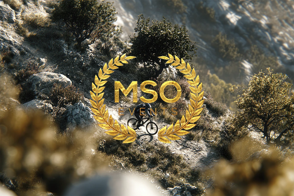img-mso-3
