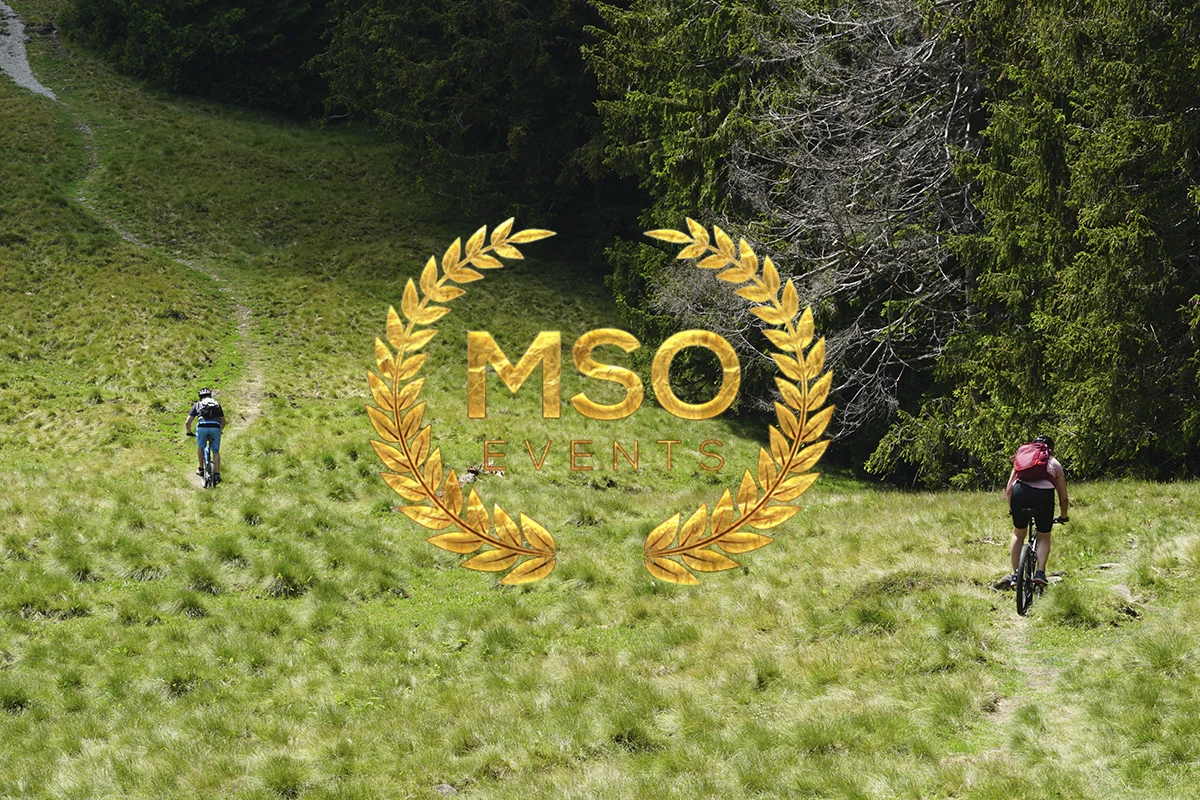 img-mso-4